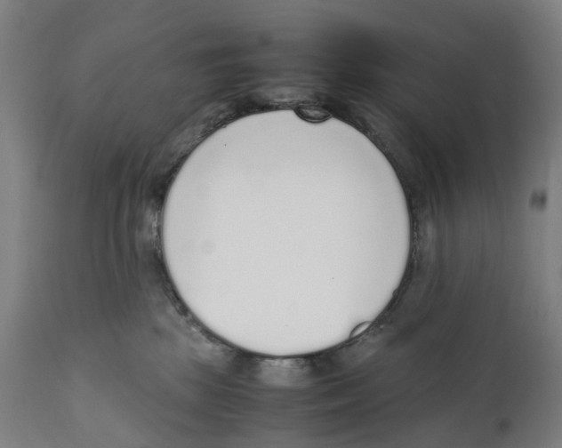 X0000111140281200907211146