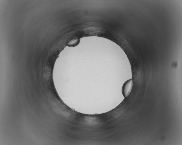 X0000111140283200907211146