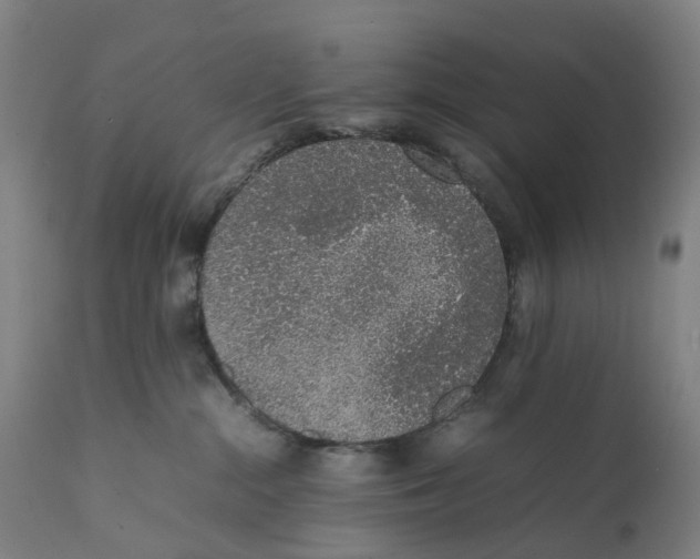 X0000111140284200907211146