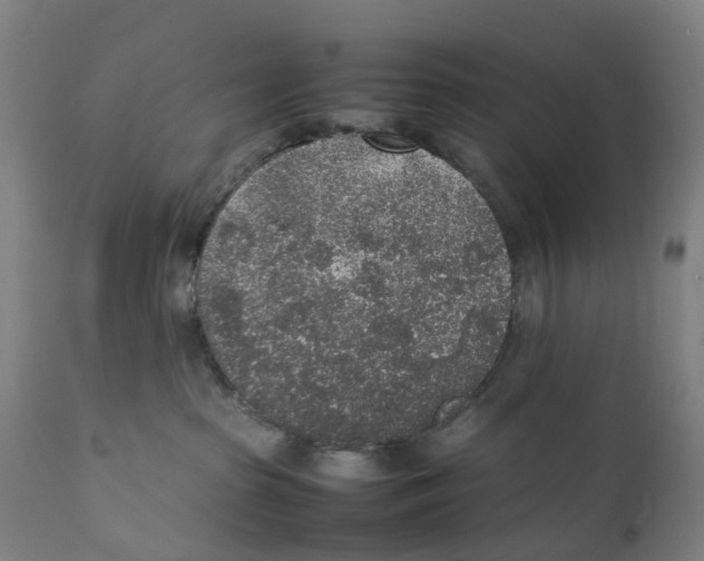 X0000111140285200907211146