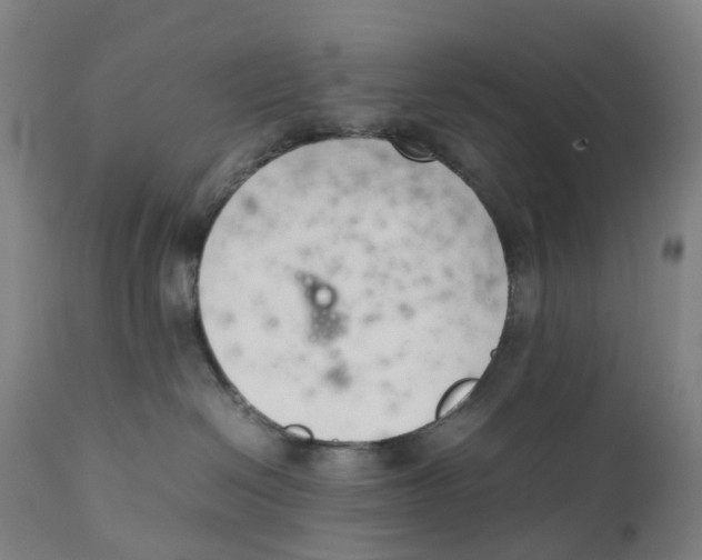 X0000111140286200907211146