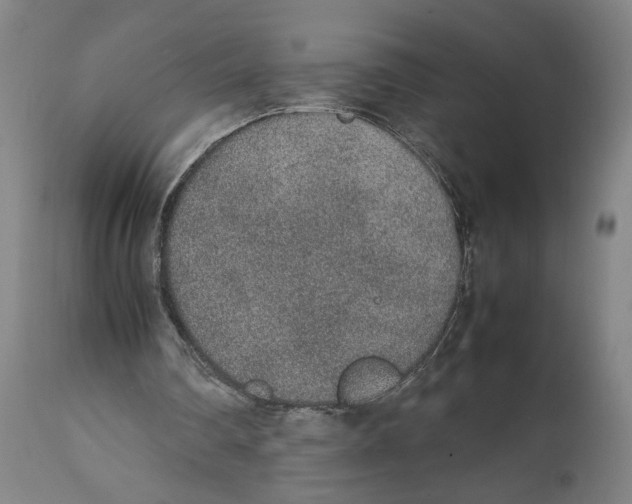 X0000111140290200907211145