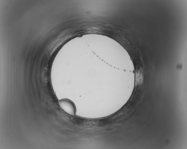 X0000111140291200907211145