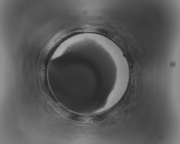 X0000111140295200907211145