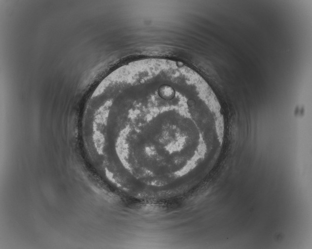 X0000111140303200907211145