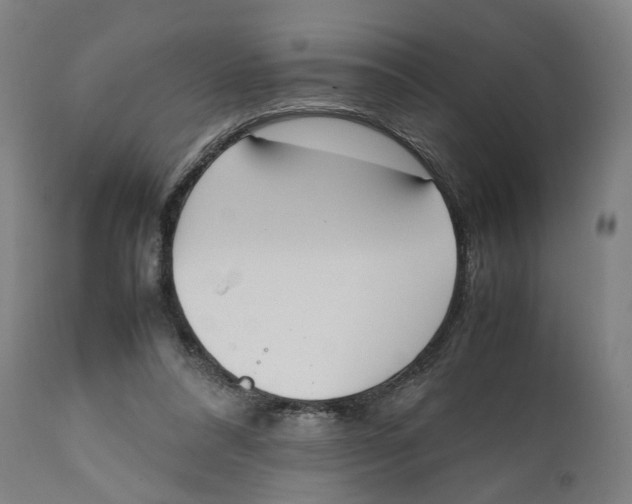 X0000111140304200907211145