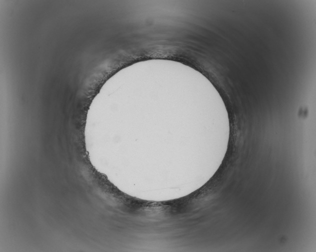 X0000111140307200907211145