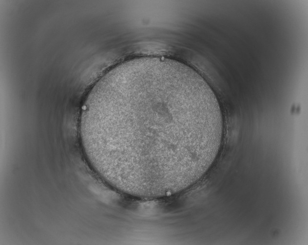 X0000111140309200907211145