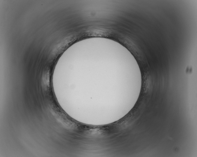 X0000111140310200907211145