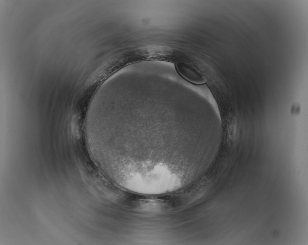 X0000111140316200907211145