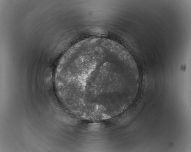 X0000111140320200907211145