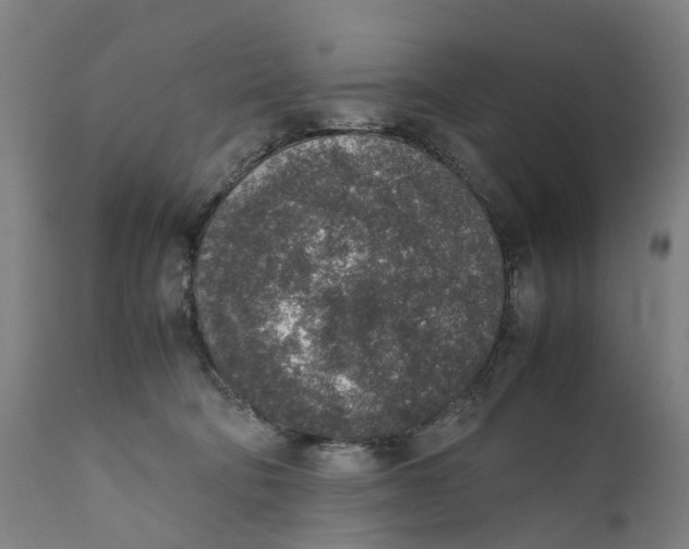 X0000111140322200907211145