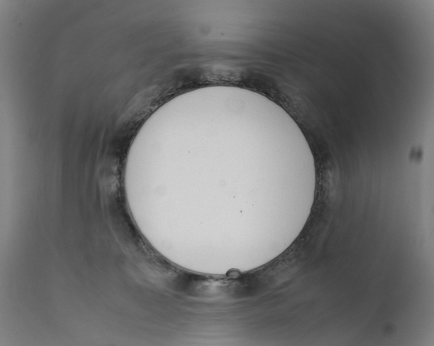 X0000111140323200907211145