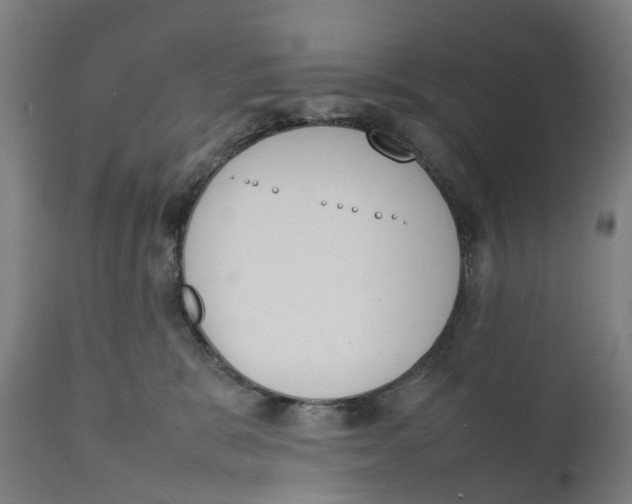 X0000111140327200907211145