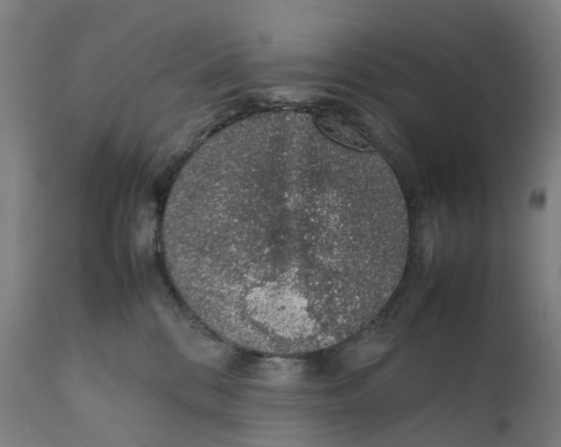 X0000111140328200907211145