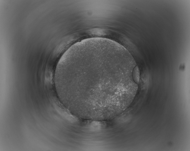 X0000111140330200907211145