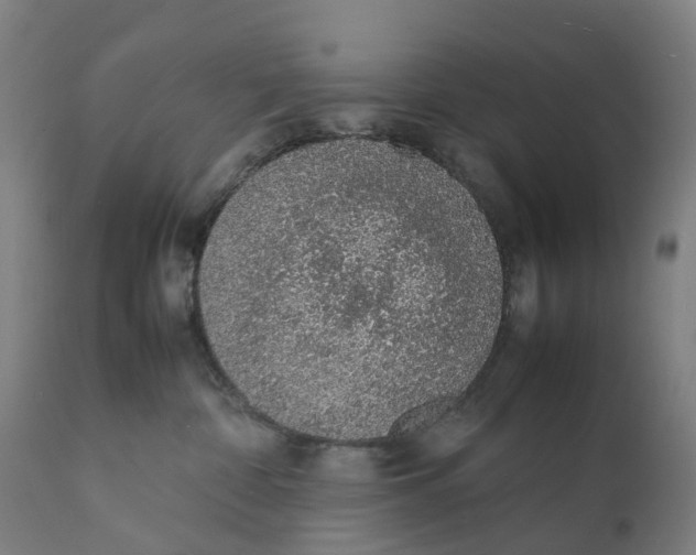 X0000111140332200907211145