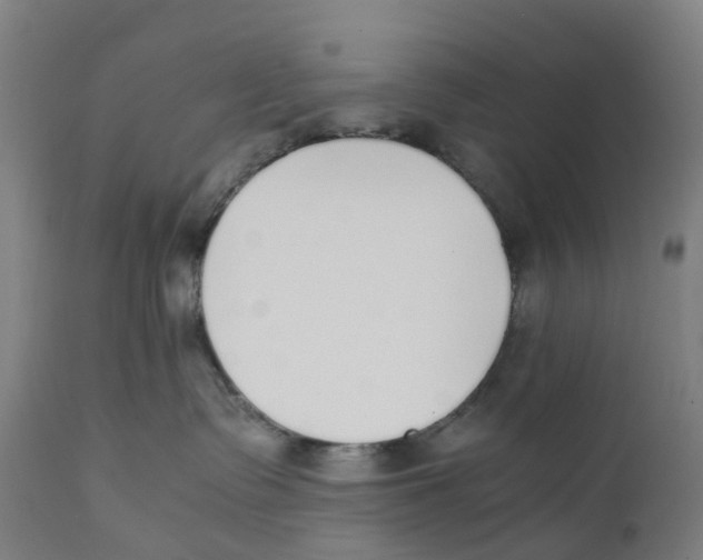 X0000111140335200907211145