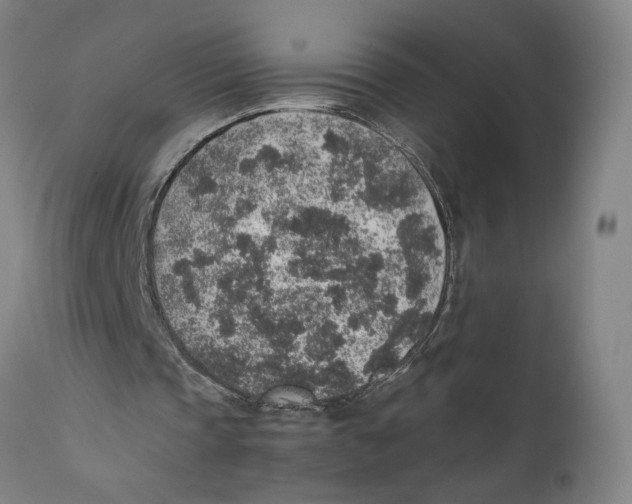 X0000111140337200907211144