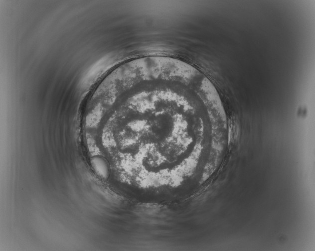 X0000111140339200907211144