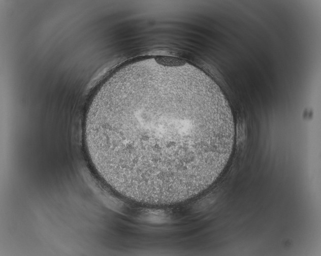 X0000111140349200907211144