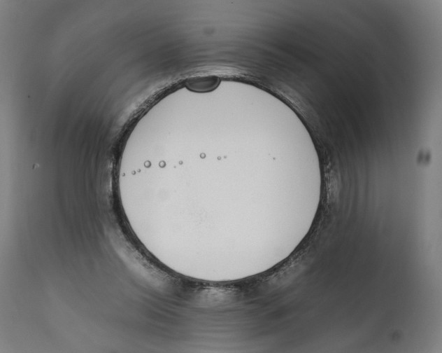 X0000111140350200907211144