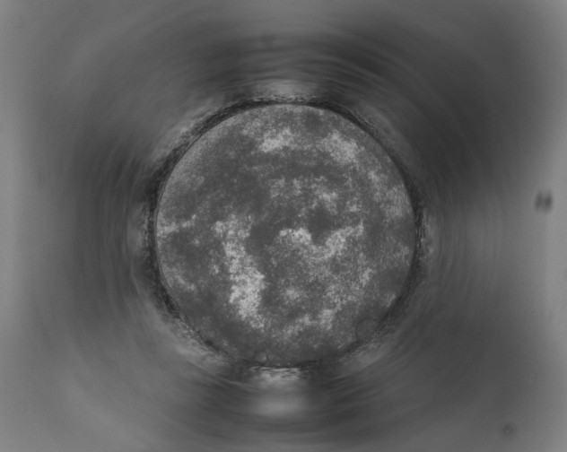 X0000111140355200907211144