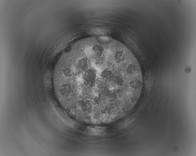 X0000111140359200907211144