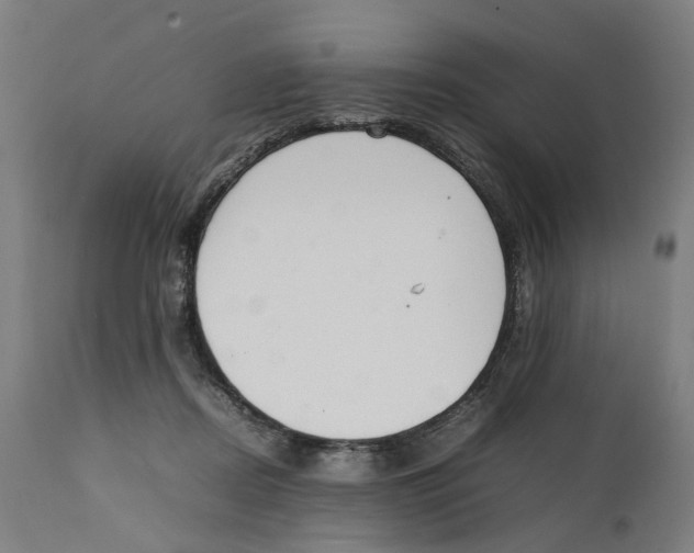 X0000111140362200907211144