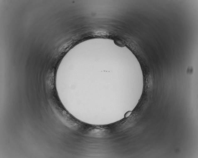 X0000111140364200907211144