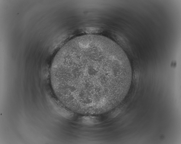 X0000111140367200907211144