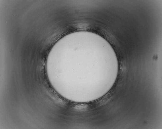 X0000111140369200907211144