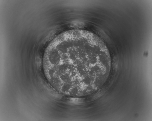 X0000111140371200907211144