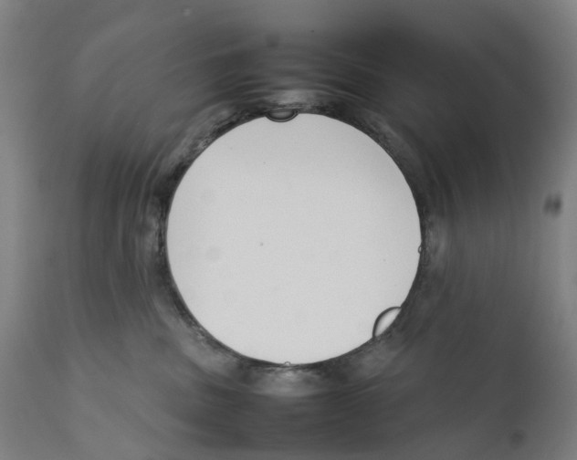 X0000111140379200907211144