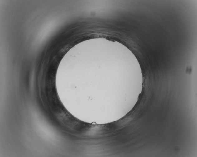 X0000111140382200907211144