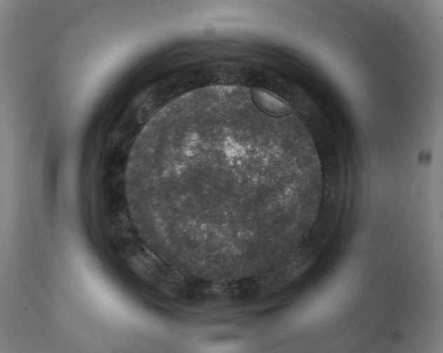 X0000111140383200907211144