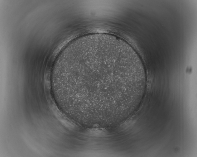 X0000111140386200907211144