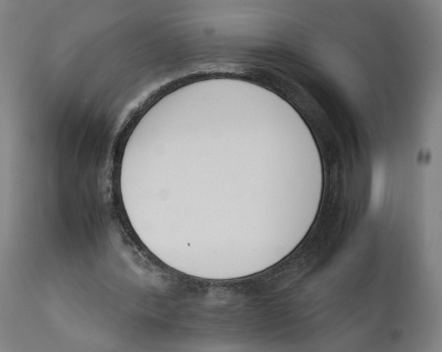 X0000111140388200907211144