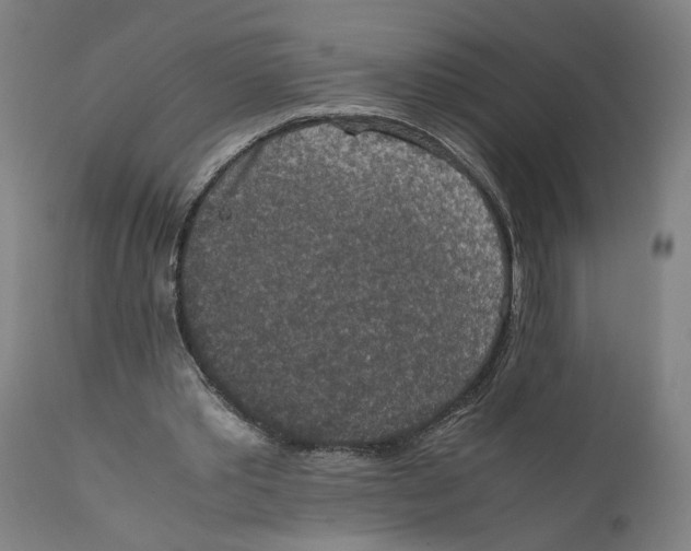 X0000111140389200907211144