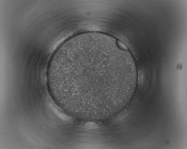 X0000111140390200907211144