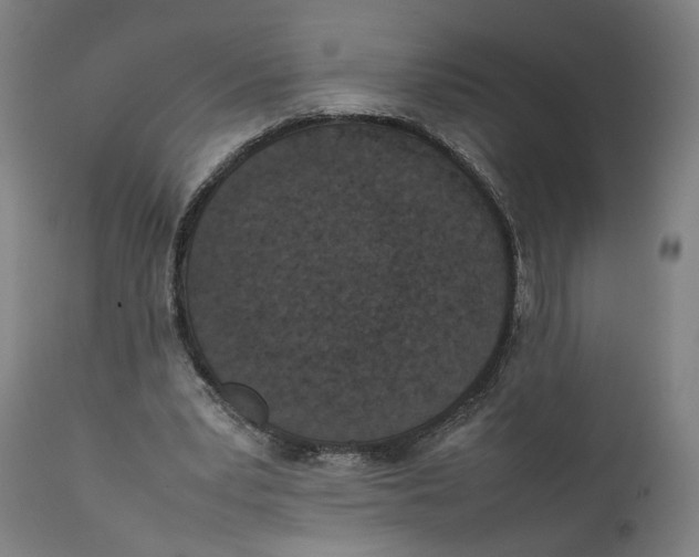 X0000111140391200907211144