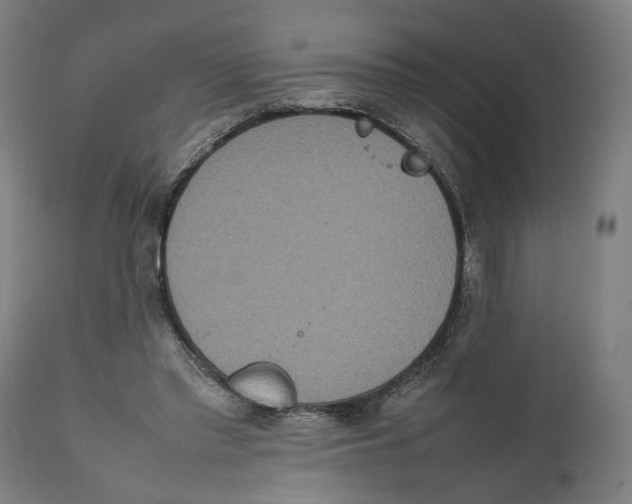 X0000111140397200907211143