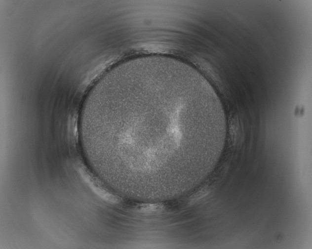 X0000111140398200907211143