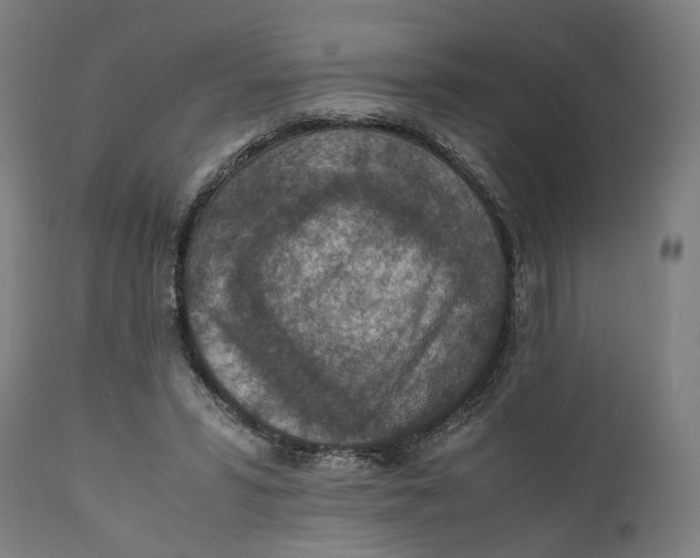 X0000111140399200907211143