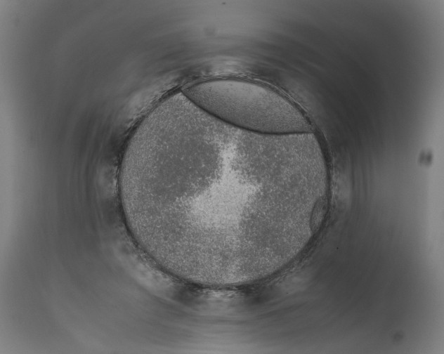 X0000111140401200907211143