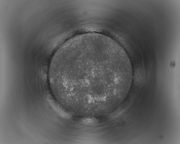 X0000111140402200907211143