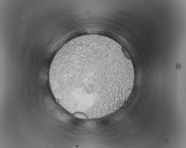 X0000111140405200907211143