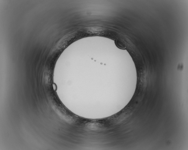 X0000111140408200907211143