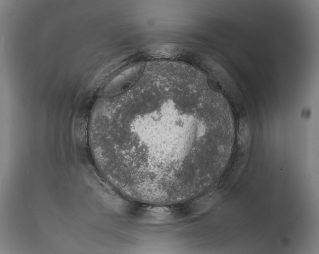 X0000111140409200907211143