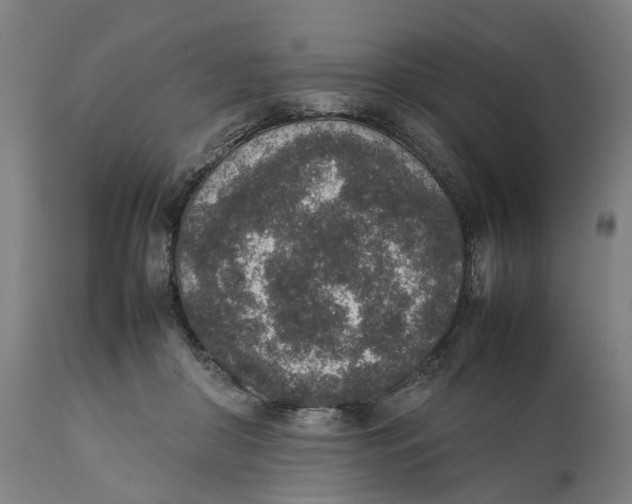 X0000111140410200907211143